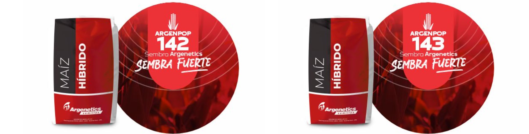 Maíz