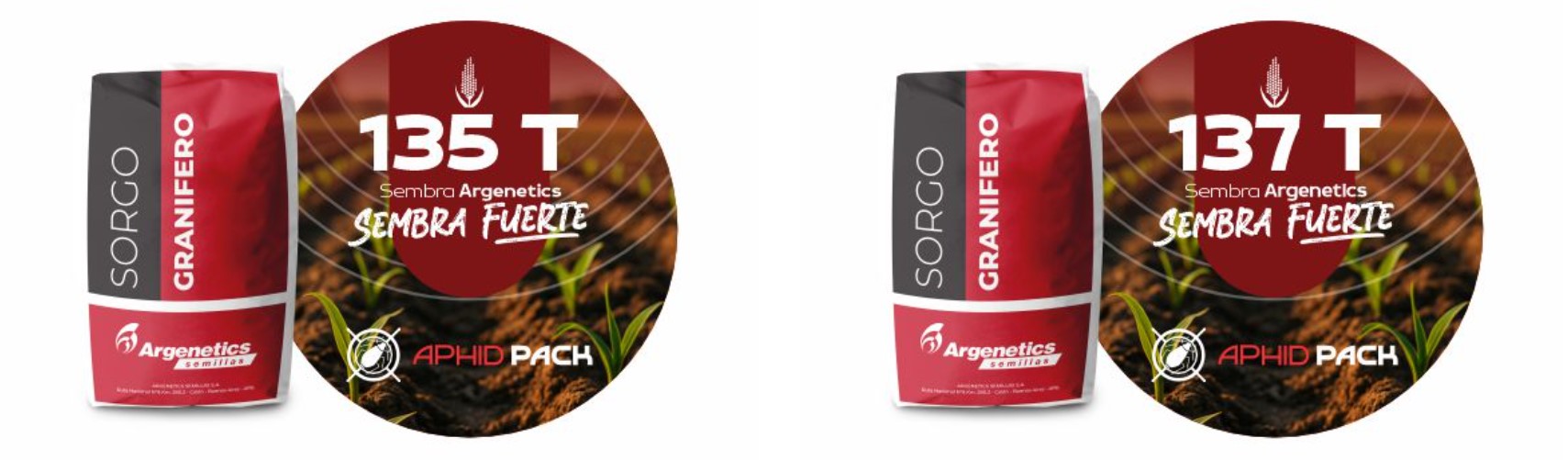 Sorgo